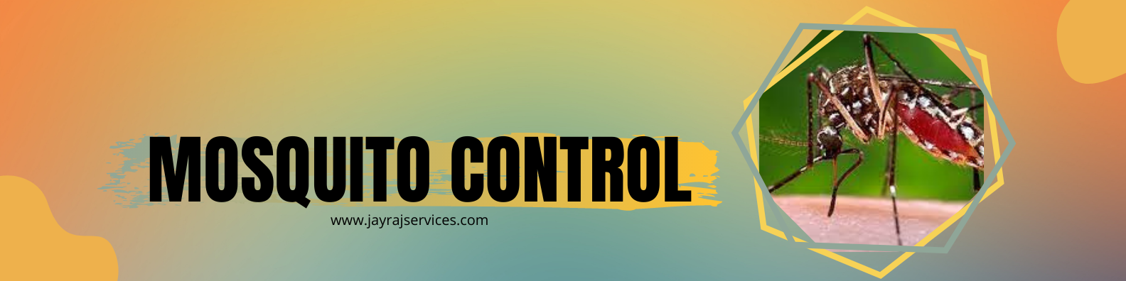 Residential and commercial mosquito control service