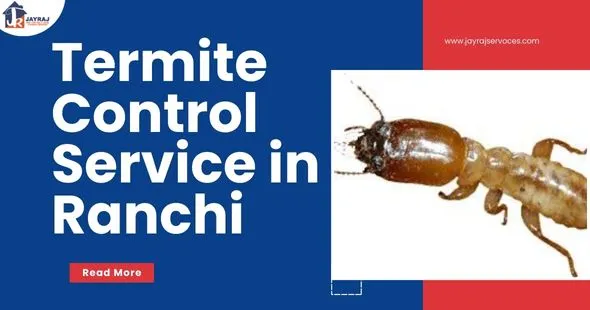 Termite Control Service in Ranchi