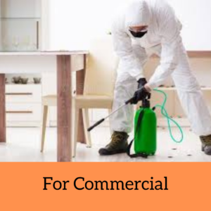 Commercial pest control service in giridih
