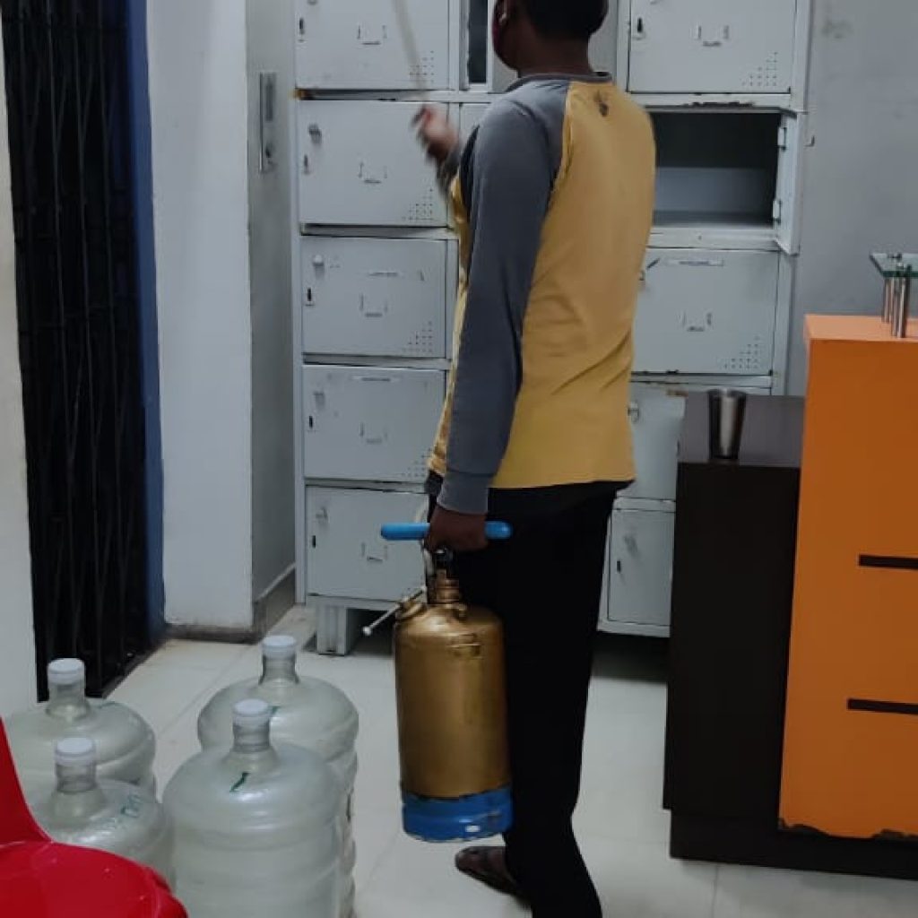 General Pest Control in Ranchi